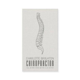 Anatomical Spine Chiropractor Appointment And