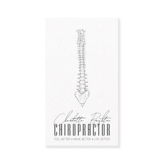 Anatomical Spine Chiropractor Appointment And