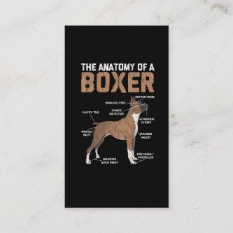 Anatomy of a Boxer Dog Animal Pet Lover