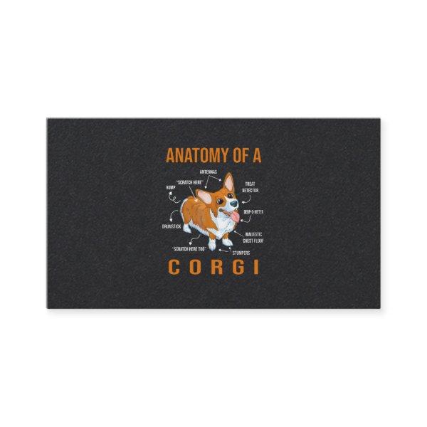 Anatomy of a Corgi Funny Dog