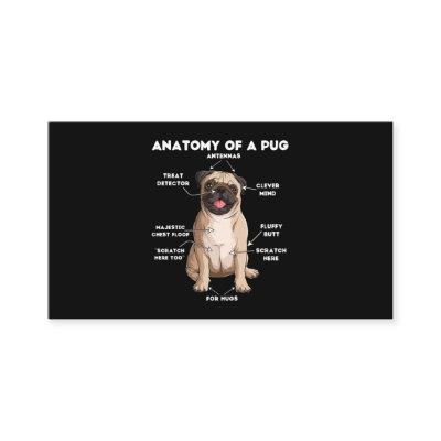 Anatomy of a Pug