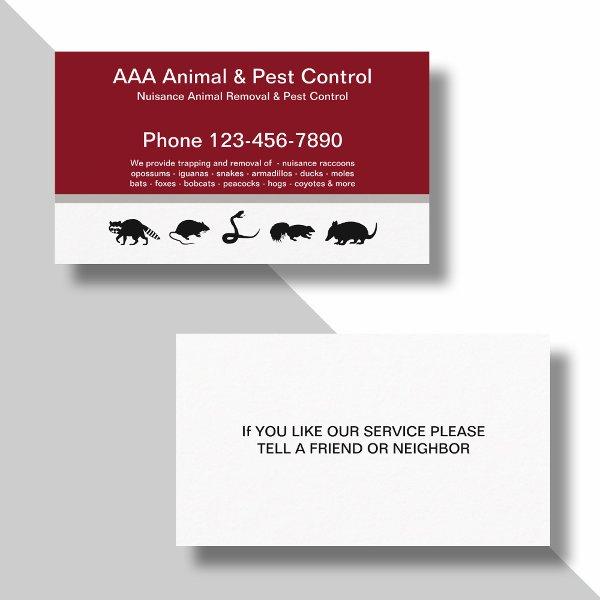 Animal And Pest Control