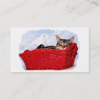 Animal Care Profession Asleep Kitten Red Basket