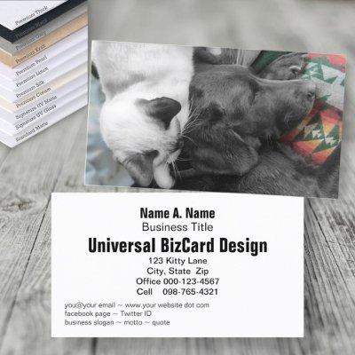Animal Foster Shelter Volunteer Adorable Pet Photo