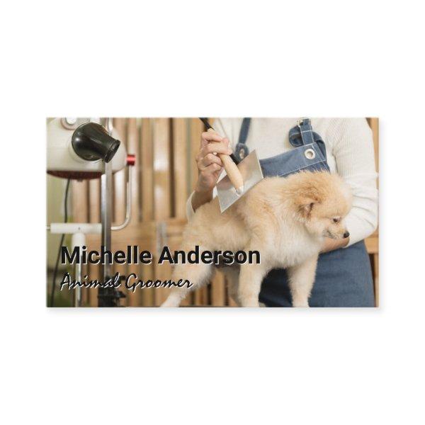 Animal Groomer Combing Dog Hair