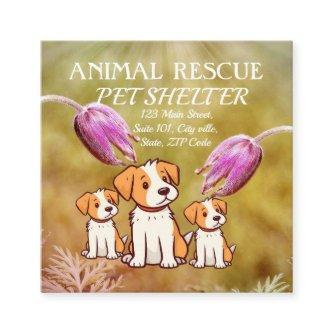 Animal Rescue Pet Shelter Cute Dogs Simple Modern Square
