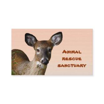 Animal Rescue Sanctuary