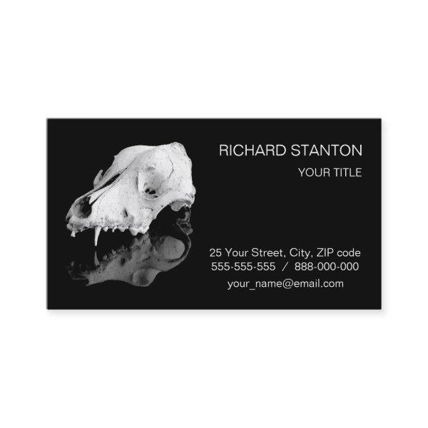 Animal skull