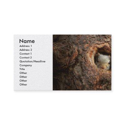 Animal - Squirrel - I'm not shy I'm an introvert