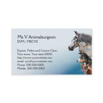 Animal vet appointment