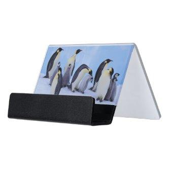 Antarctica, Emporer Penguins Desk  Holder