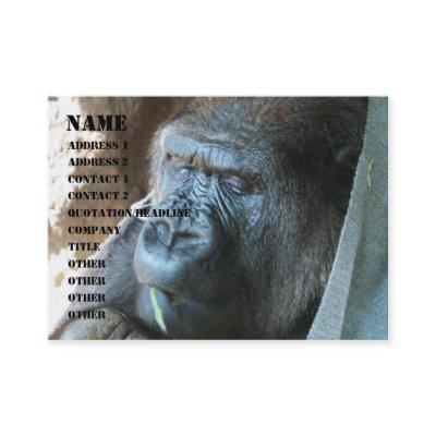 Ape hood ~ Japanese Gorilla Eating