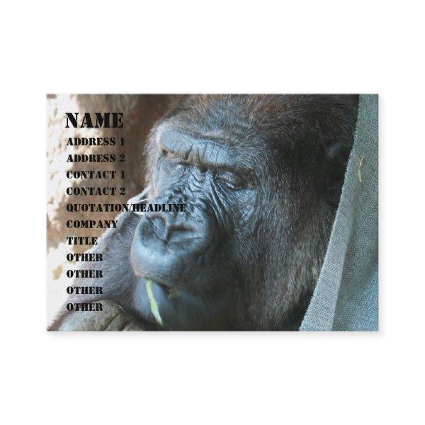 Ape hood ~ Japanese Gorilla Eating