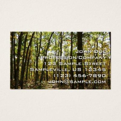 Appalachian Trail in October at Shenandoah