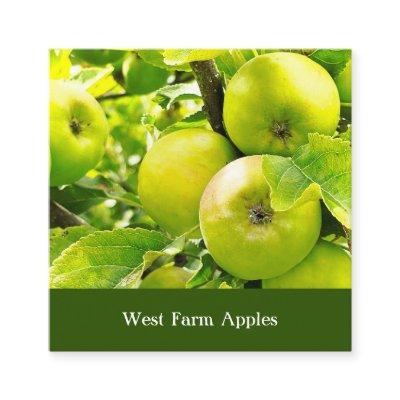 Apple Orchard Cider Press Tree Fruit Grower Farm  Square