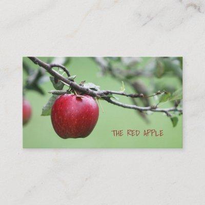 Apple Organic Fresh Red Apples