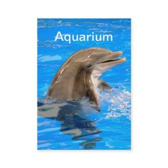 Aquarium  with Dolphin