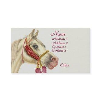 Arabian Stallion