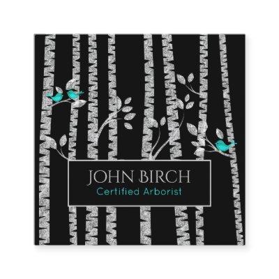 ** Arborist Tree Doctor Birch Trees  Blue Birds Square