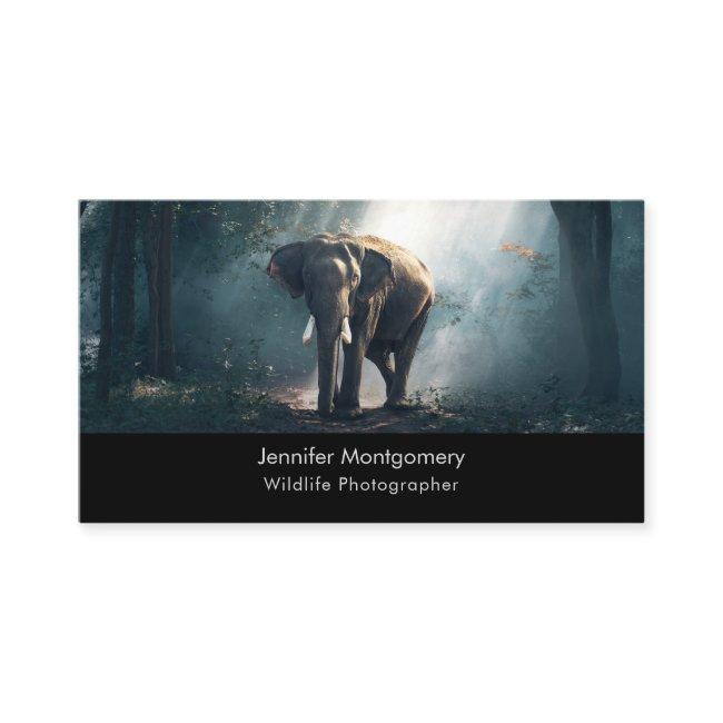 Asian Elephant in a Sunlit Forest Clearing