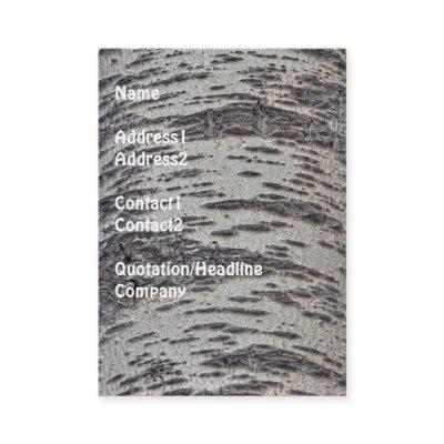 Aspen Bark Tree Photo-sample Biz Card