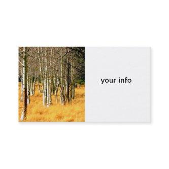 aspen trees