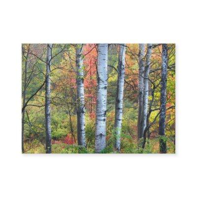 Aspens in Autumn ATC