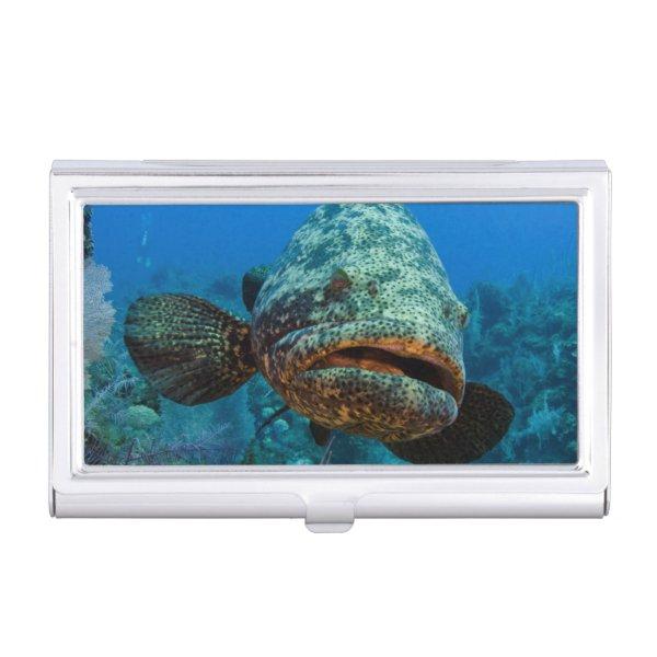 Atlantic Goliath Grouper Case For
