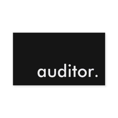 auditor.