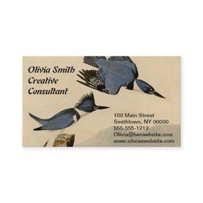 Audubon Belted Kingfisher Wildlife Bird