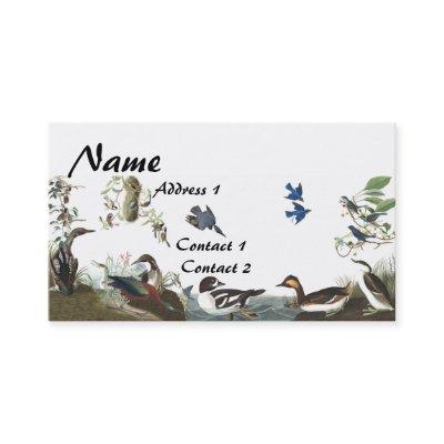 Audubon Collage Birds Wildlife