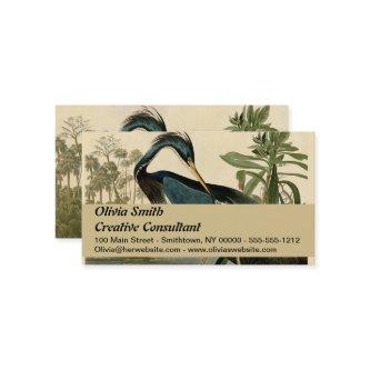 Audubon Louisiana Heron Birds America Art