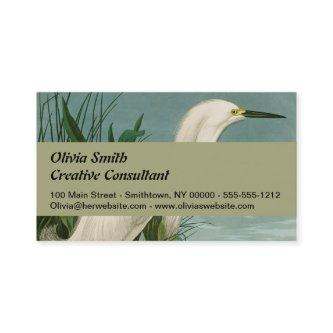 Audubon Snowy Heron White Egret Bird Birding