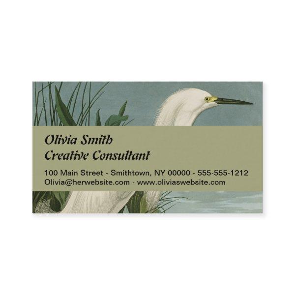 Audubon Snowy Heron White Egret Bird Birding