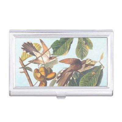 Audubon's Yellow-Billed Cuckoo Birds in Fruit Tree  Case