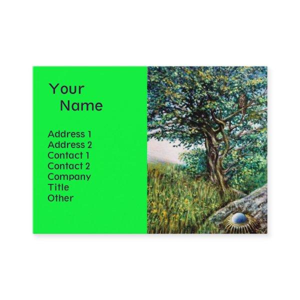 AURORA / MAGIC TREE, green, blue