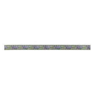 Australian_blue_cattle_dog_laying.png Satin Ribbon