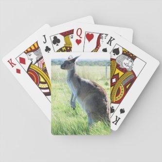 Australian Kangaroo Playing Cards