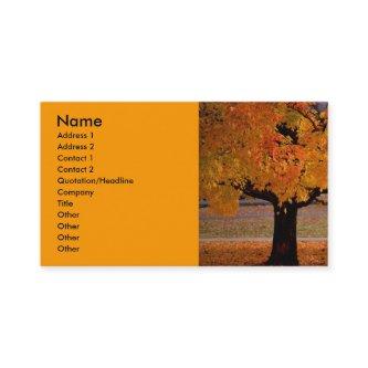 autumn (1), Name, Address 1, Address 2, Contact...