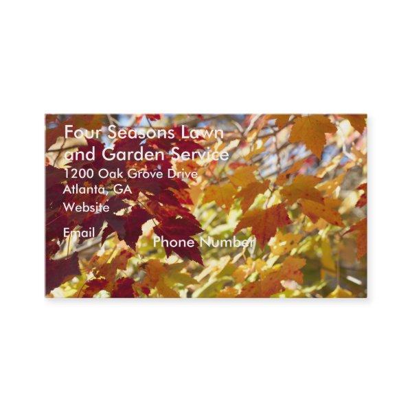 Autumn Colors Leaves