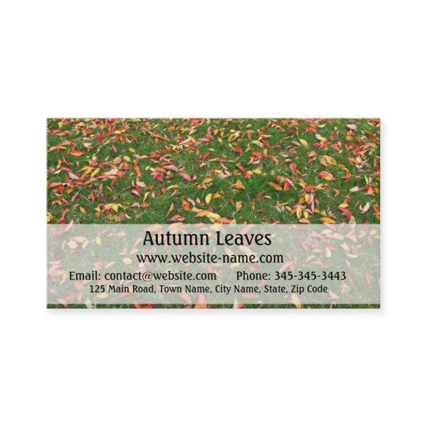 Autumn Leaves