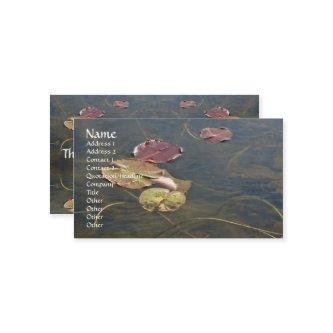 Autumn Lilypads Series