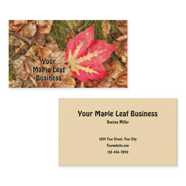 Autumn Maple Leaf Red Fall Themed Rustic