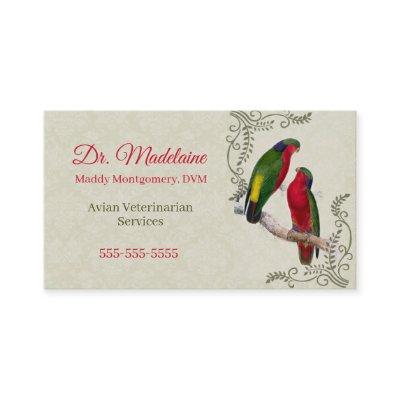 Avian Veterinarian Vintage Parrot