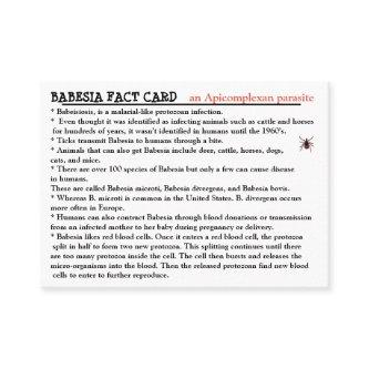 Babesia Fact Card