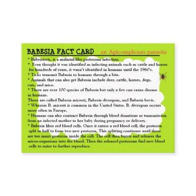 Babesia Fact Educational Card