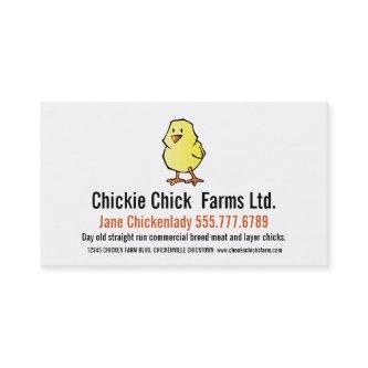 Baby Chick Modern Chicken Hatchery