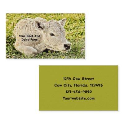 Baby Cow Green Grass Dairy And Beef Farm