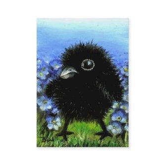 Baby raven ACEO prints