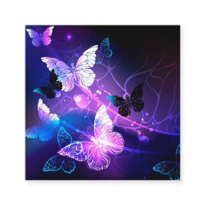 Background with Night Butterflies Square